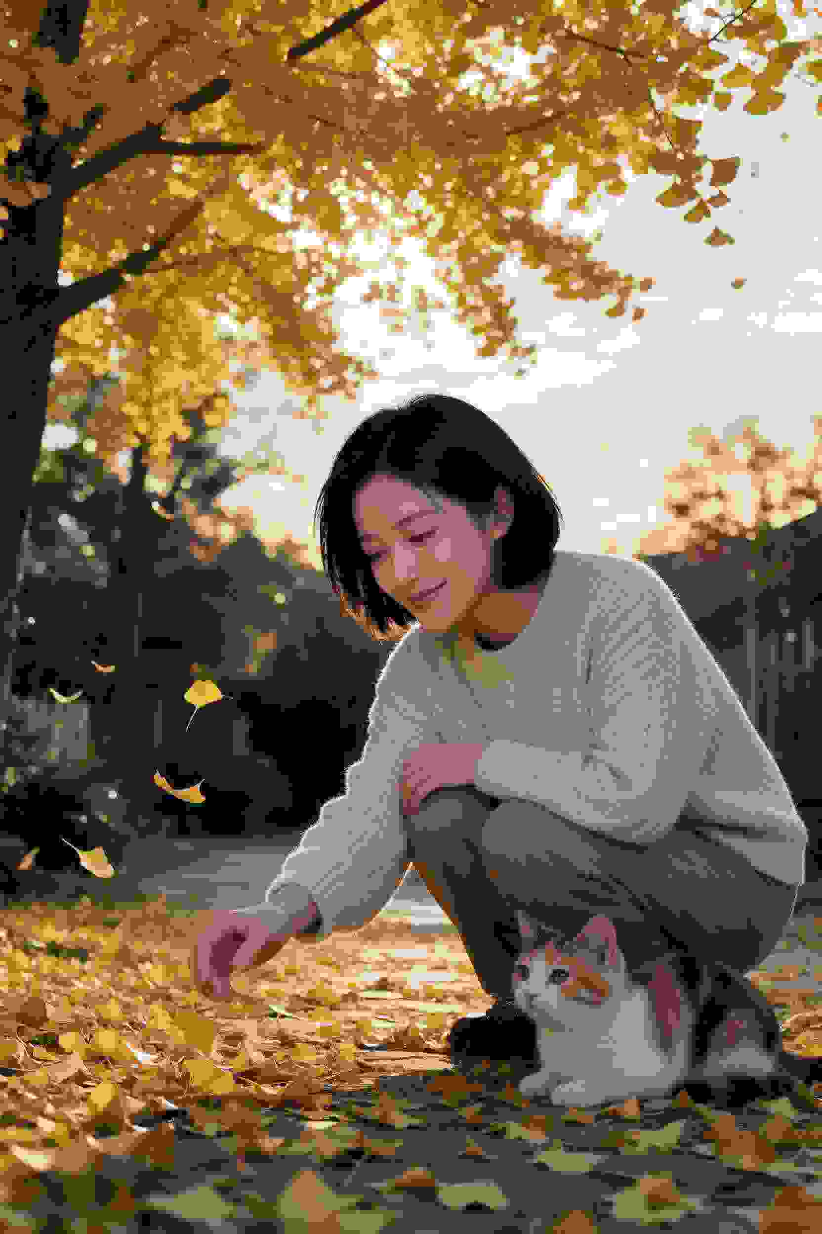 知否知否应是绿肥红瘦